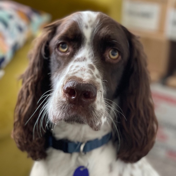 Meet your Posher, Rob and Beth - Picture 3 of 7